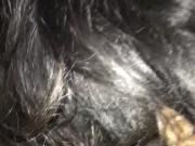 head blowjob pt2
