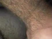 Loud bears