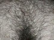 my pussy