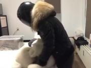 Leather Fur Biker fucks Plushie no cumshot
