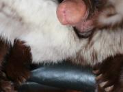 Fox fur stroke wearing mink