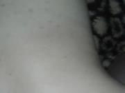 El chamu y colito