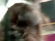 Milf Found in Metro Perfect Ass Chase