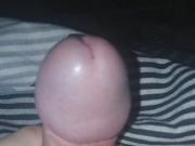 Cock