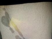 My Dick - Mein Schwanz CUMSHOT