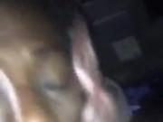 Deepthroat Pro Freak