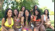 Massive Ebony Orgy