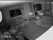 Jock Step Son Family Sex With Bear Step Dad After Caught