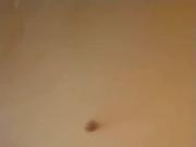 Pummeliges junges Madchen lasst sich wild in die Muschi voge