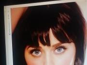 Katy Perry cumtribute 14