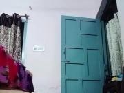 Chandigarh bitch