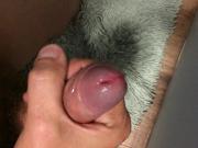 precum and cum