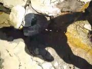The guy fucks a beautiful busty woman