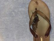 Flip flop cum 60 fps test