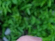 stroking in outdoor 1