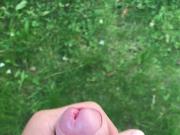 Masturbating in the Park