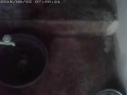 vid 19