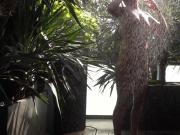 Marion takes a shower