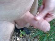 Outdoor im Wald Wank in the Forest