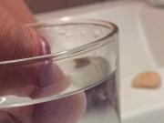 two weeks underwater cum shot in a glass of hot water