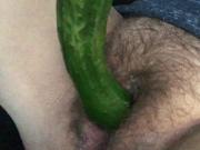 Cucumber tease