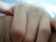 Punci