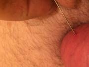 Needle testicle precum