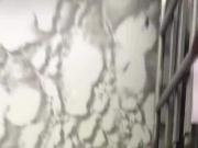 cumshot.mov