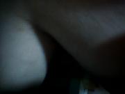 mi cerda