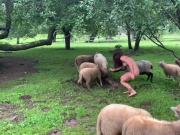 Desnuda en la granja.