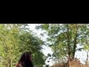 Desi purja