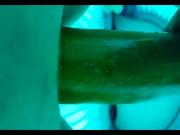 Big cucumber