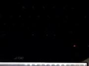 Netlord's tribute for Naughty Nikki