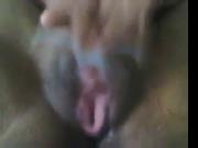 Perfect black pussy getting fingered