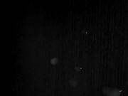 per lorycinfermieratroia