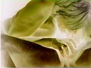 HOT VIDEO IN COLOR