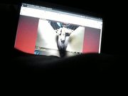 webcam doggy pussy dream