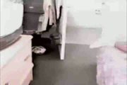 She sucks black cock