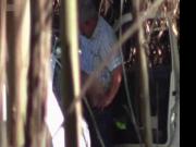 Hidden Cam - Woods 14