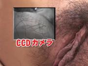 Subtitled bottomless Japanese pubic hair shaving in HD