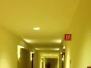 Nude in hotel hallway. Short vid.