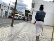 Gray Long Skirt . Through Booty 1