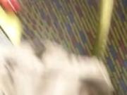 Dickflash exhibe train