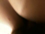 Feline in Anal