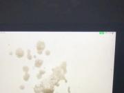 Blowing a nut with a bro