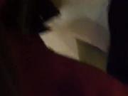 pompino delizioso