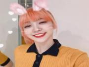 Kpop girl group Everglow cute