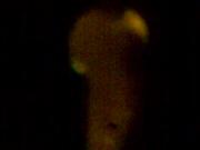 Mia cognata in doccia