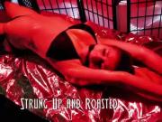 Aubree Lane Strung Up and Roasted