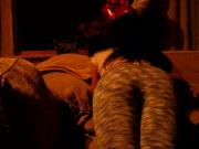 sexy stripper girlfriend messing around